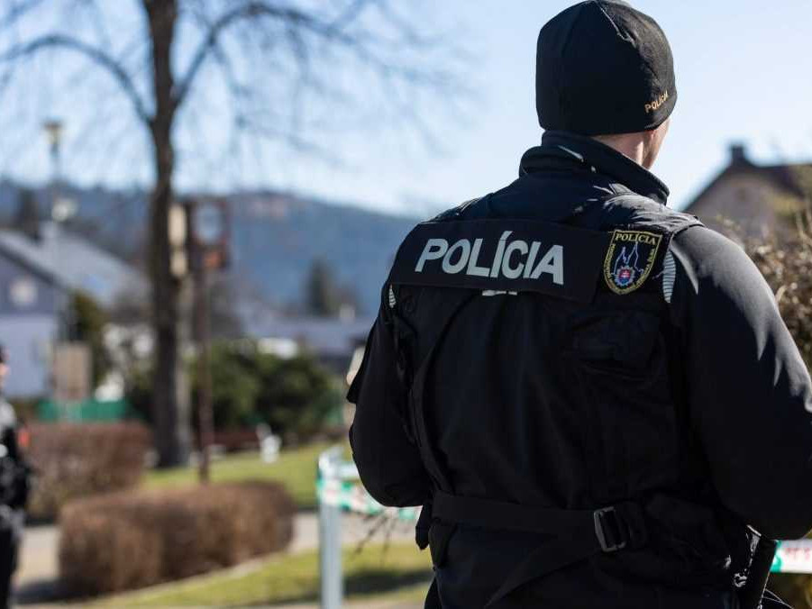 Na ilustračnej snímke policajt.