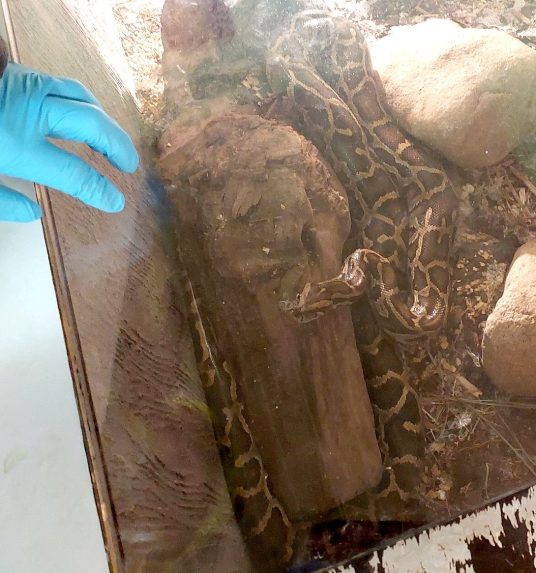 Na sn&iacute;mke krajta tmav&aacute;.