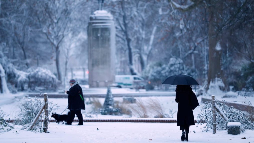 Zasnežený park v Lille.