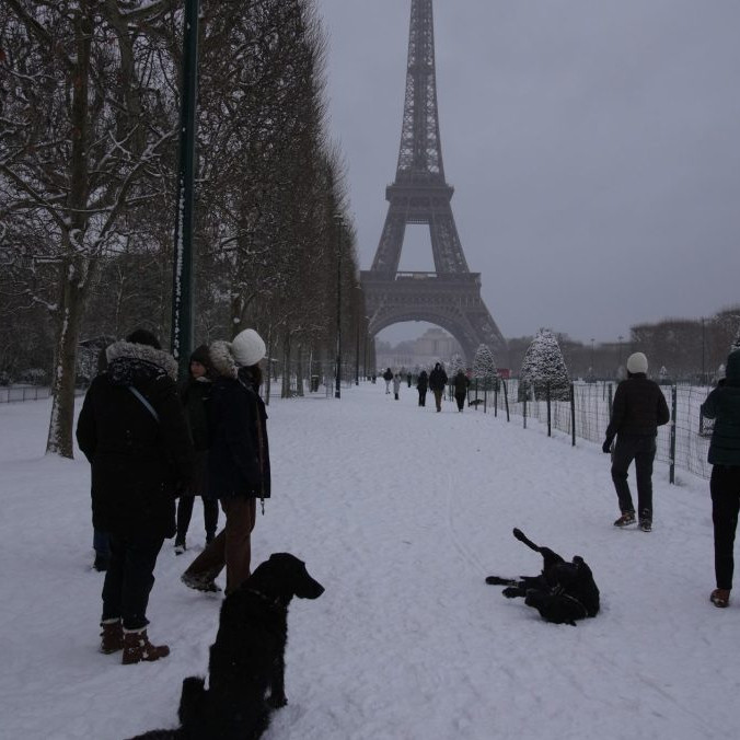 Ľudia venčia svojich psov v zasneženom Paríži.