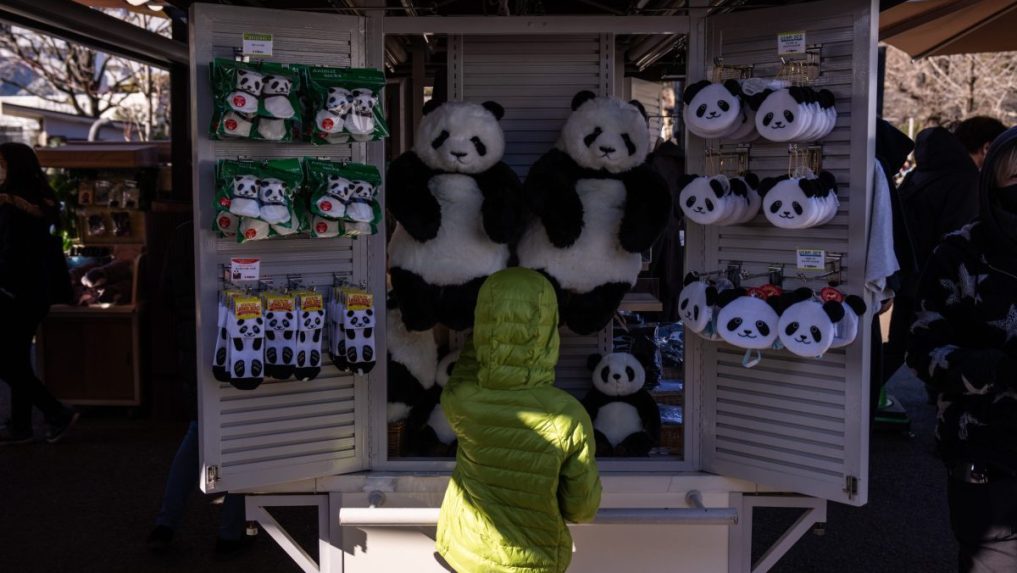 Na snímke plyšové pandy v zoo v Tokiu.