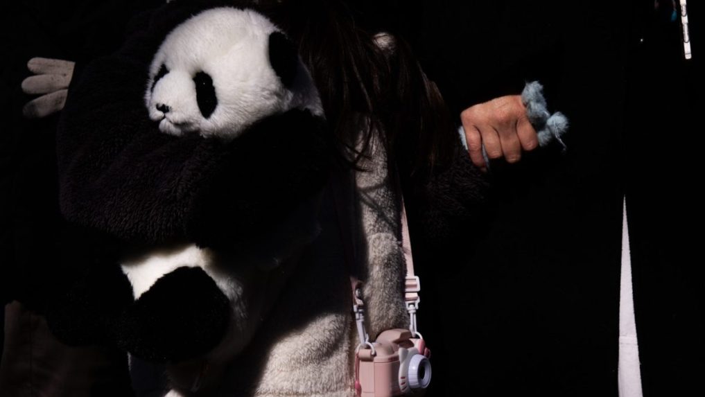 Na snímke plyšová panda.