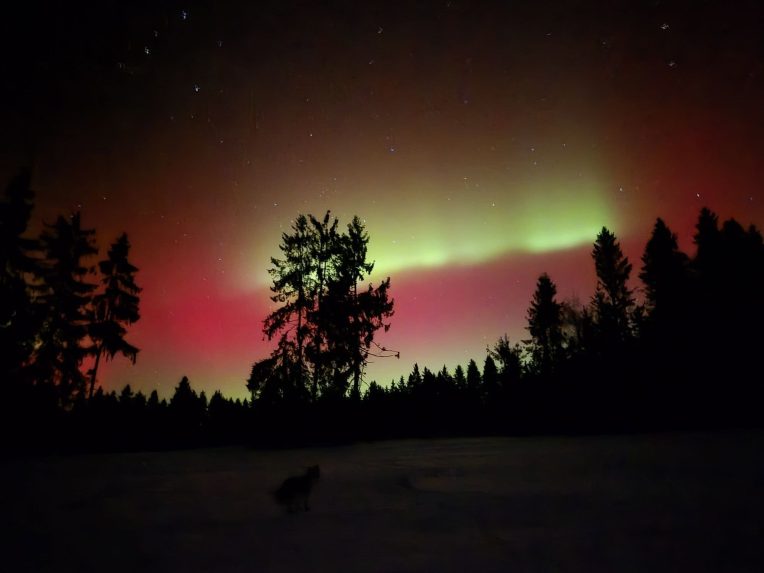 Pol&Atilde;&Acirc;&iexcl;rna &Atilde;&Acirc;&frac34;iara.