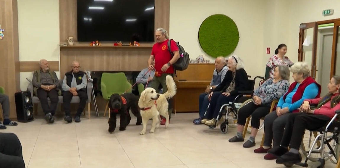 Na snímke dôchodcovia so psami.