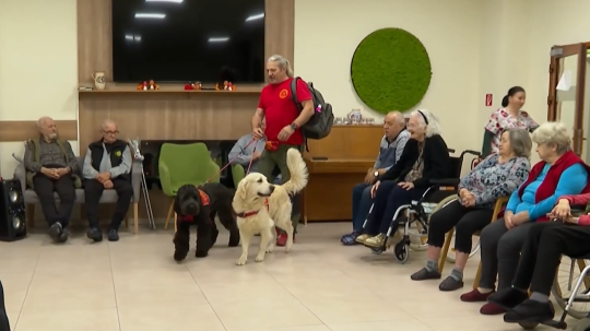 Na snímke dôchodcovia so psami.