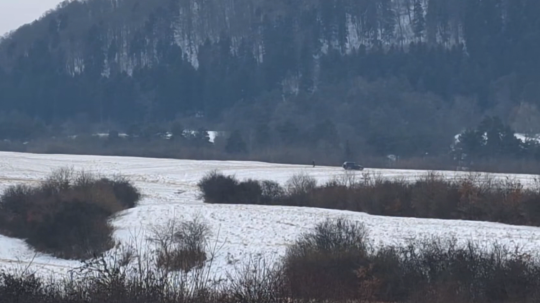 Strelci, ktorých aktivistka nakrútila, boli na lúke v aute.