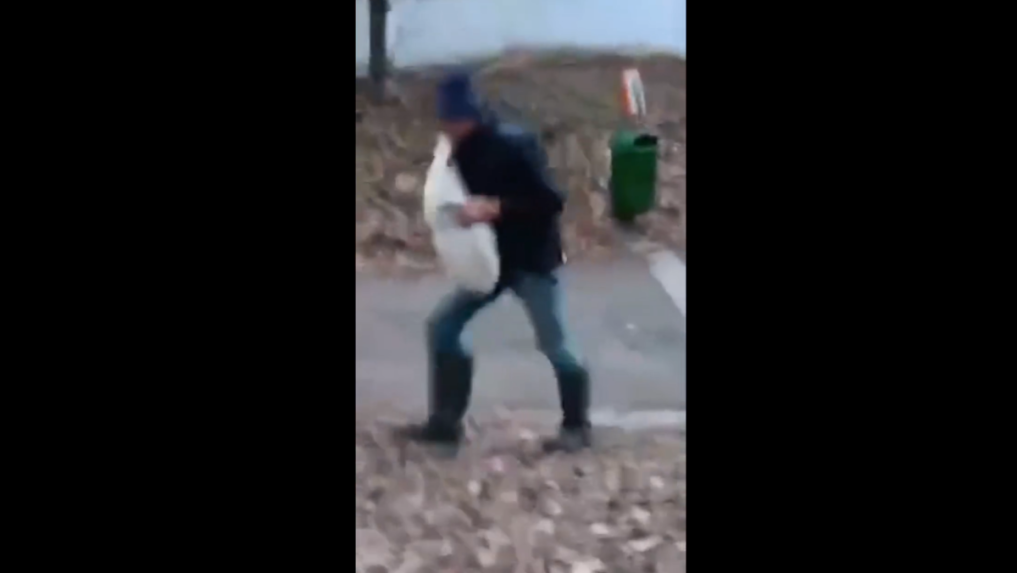 Muž na smíchovskom nábreží odchytil labuť.