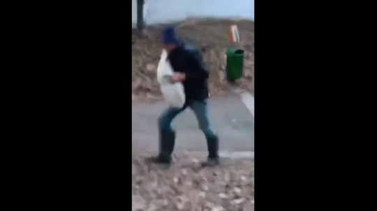 Muž na smíchovskom nábreží odchytil labuť.