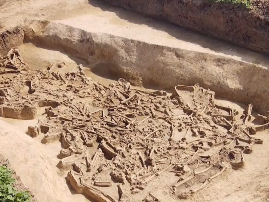 Na snímke nález archeológov vo Vrábľoch.