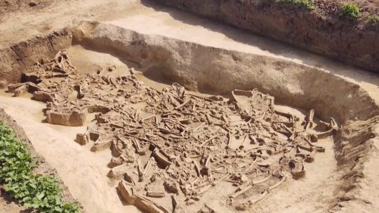 Na snímke nález archeológov vo Vrábľoch.