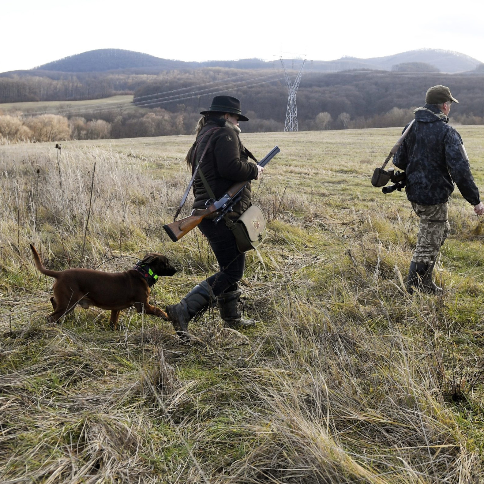 Ilustračná fotografia poľovníkov