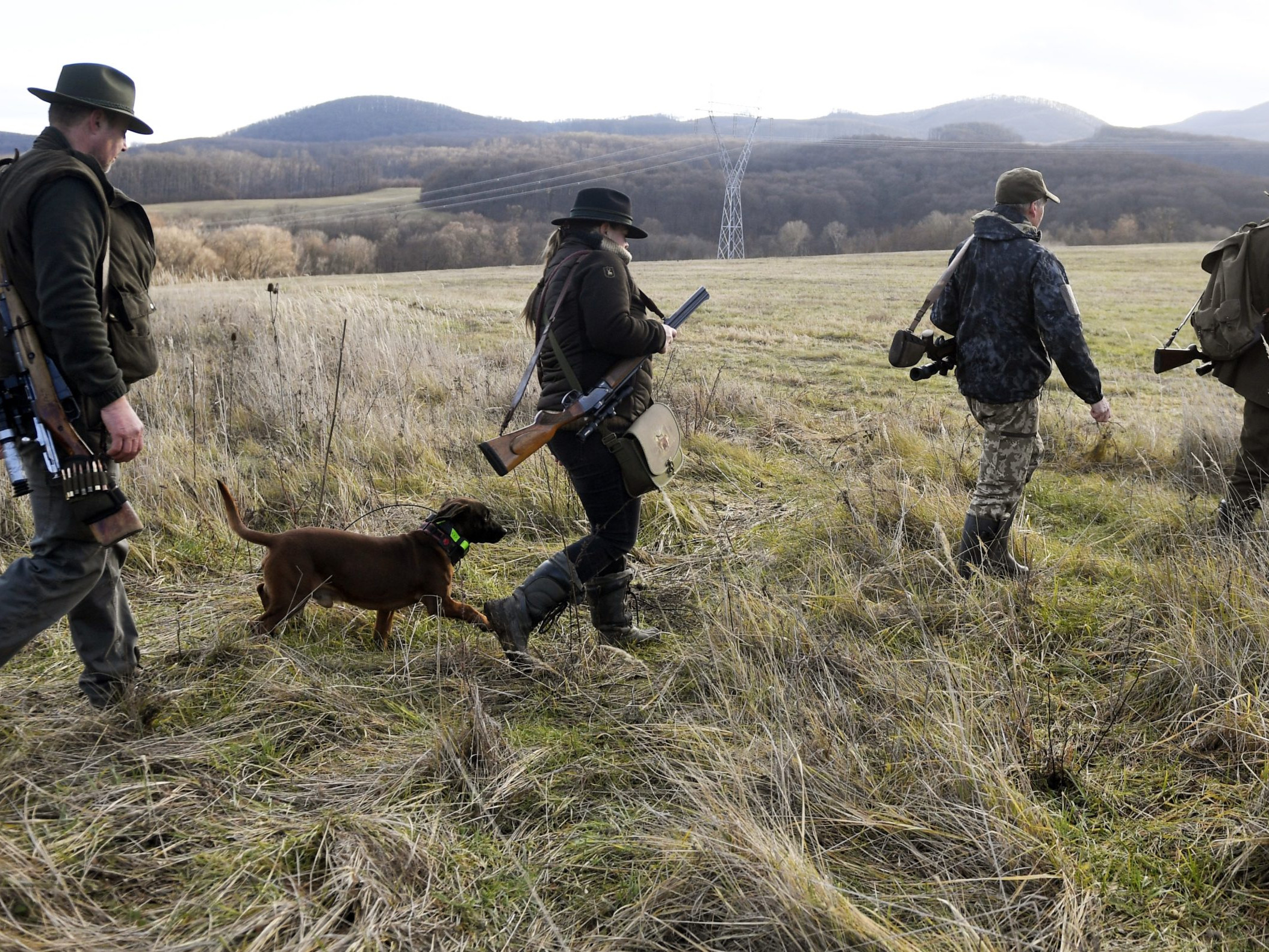 Ilustračná fotografia poľovníkov