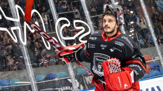 Stanislav Škorvánek