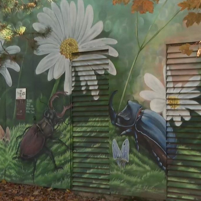 Na snímke grafity v Púchove.