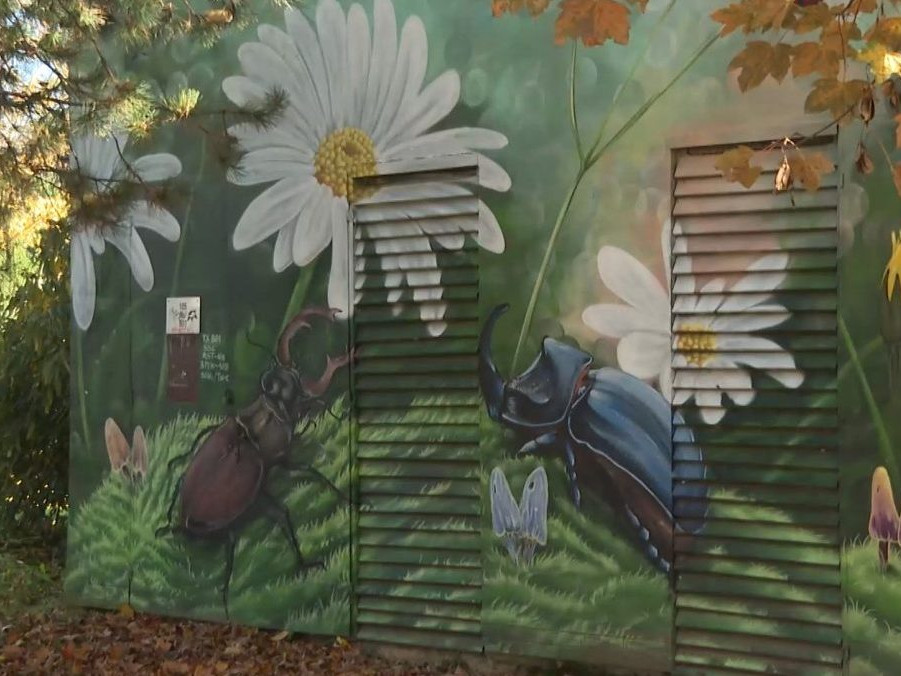 Na snímke grafity v Púchove.