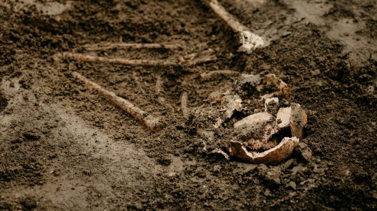 Na snímke sú kosti v zemine.