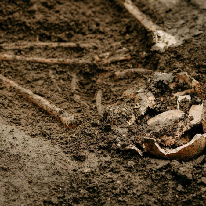 Na snímke sú kosti v zemine.