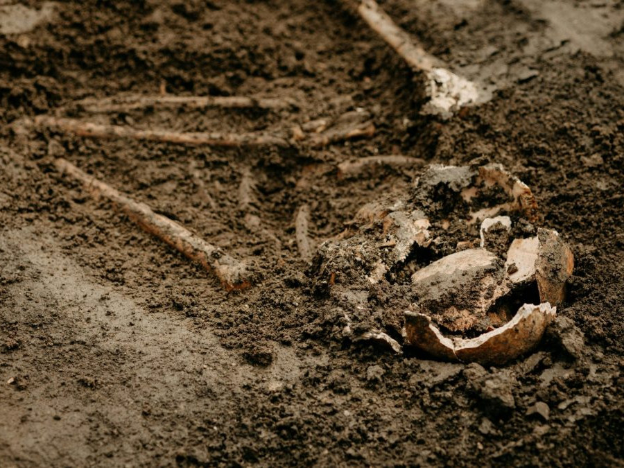Na snímke sú kosti v zemine.