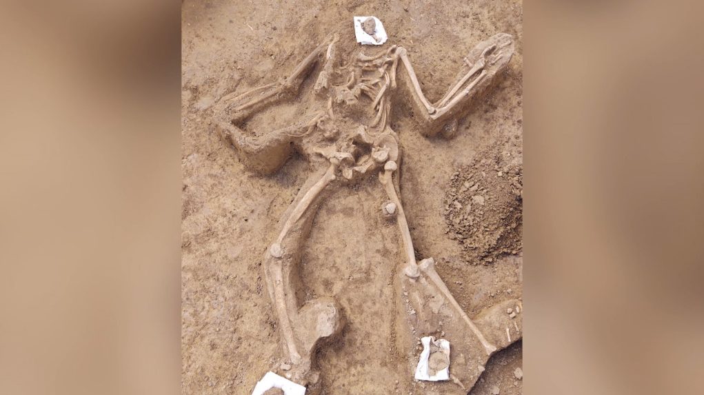 vykopané ľudské kosti