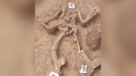 vykopané ľudské kosti