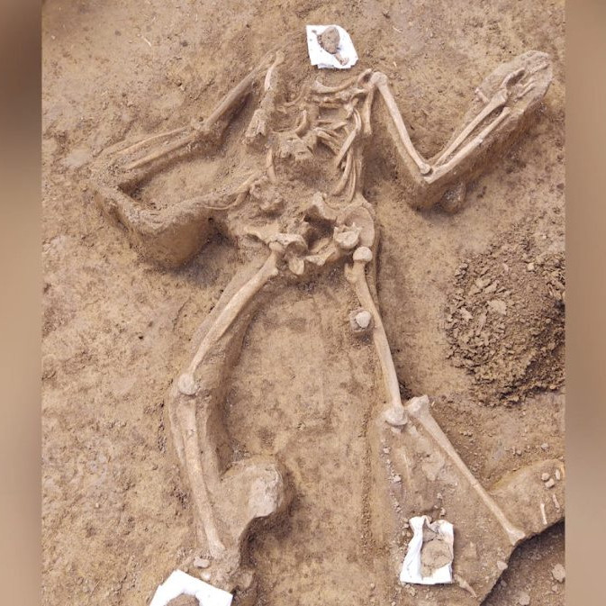 vykopané ľudské kosti