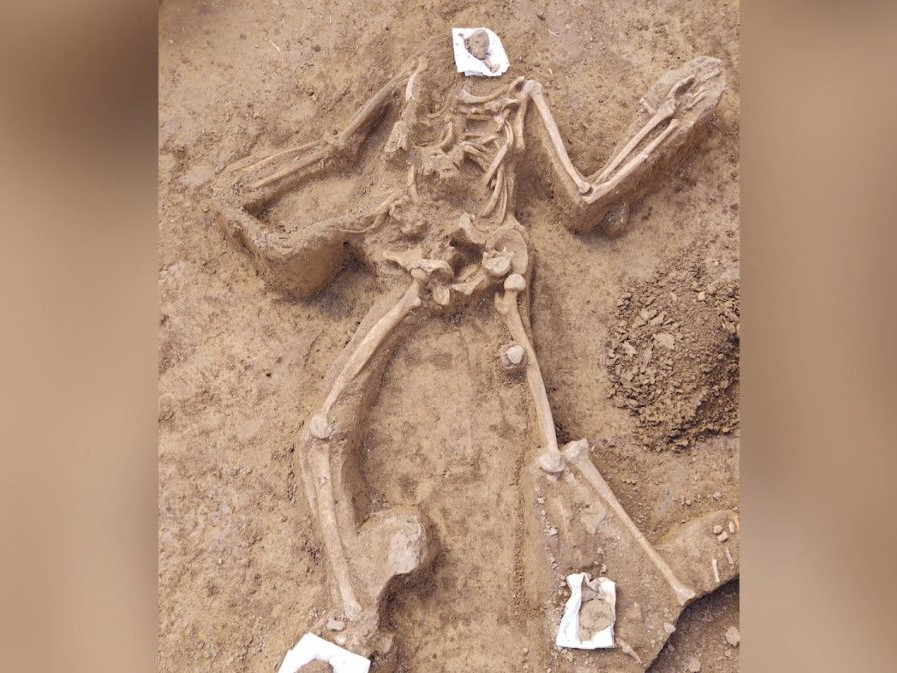 vykopané ľudské kosti