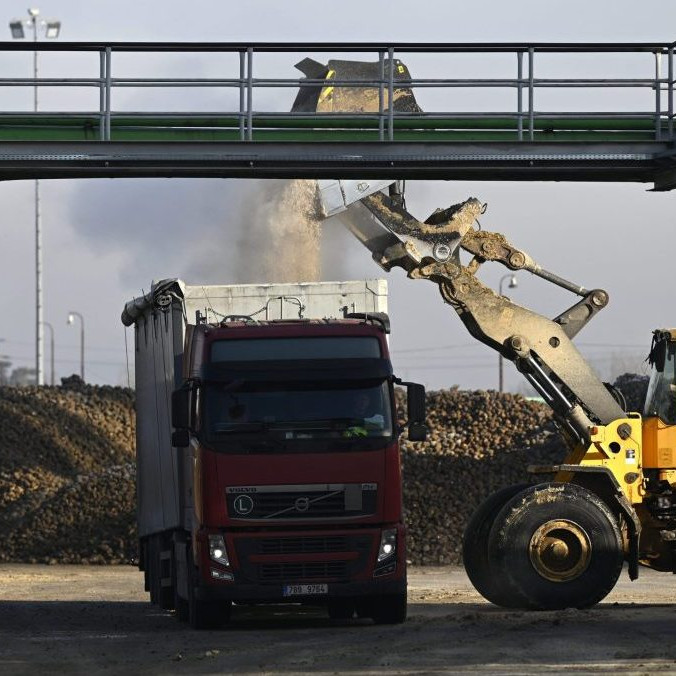 Stroj nakladá cukrovú repu v cukrovare v Trenčianskej Teplej.