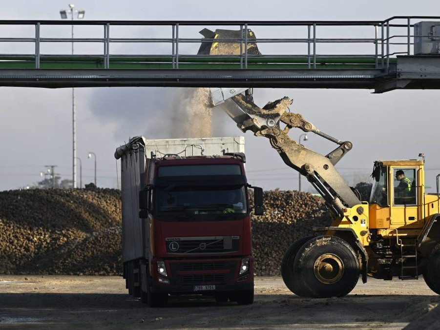 Stroj nakladá cukrovú repu v cukrovare v Trenčianskej Teplej.