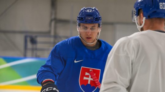 Hokejista Martin Fehérváry.