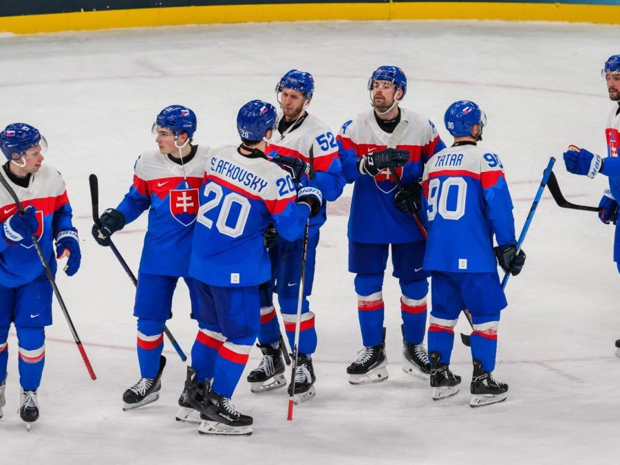 Slovenskí hokejisti.
