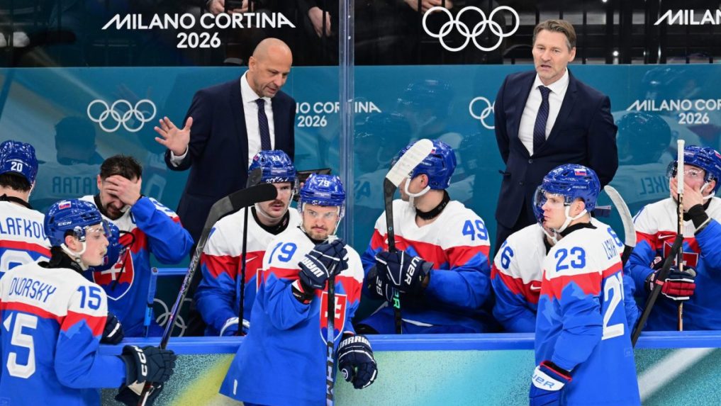 Slovenská striedačka počas zápasu s Fínskom.