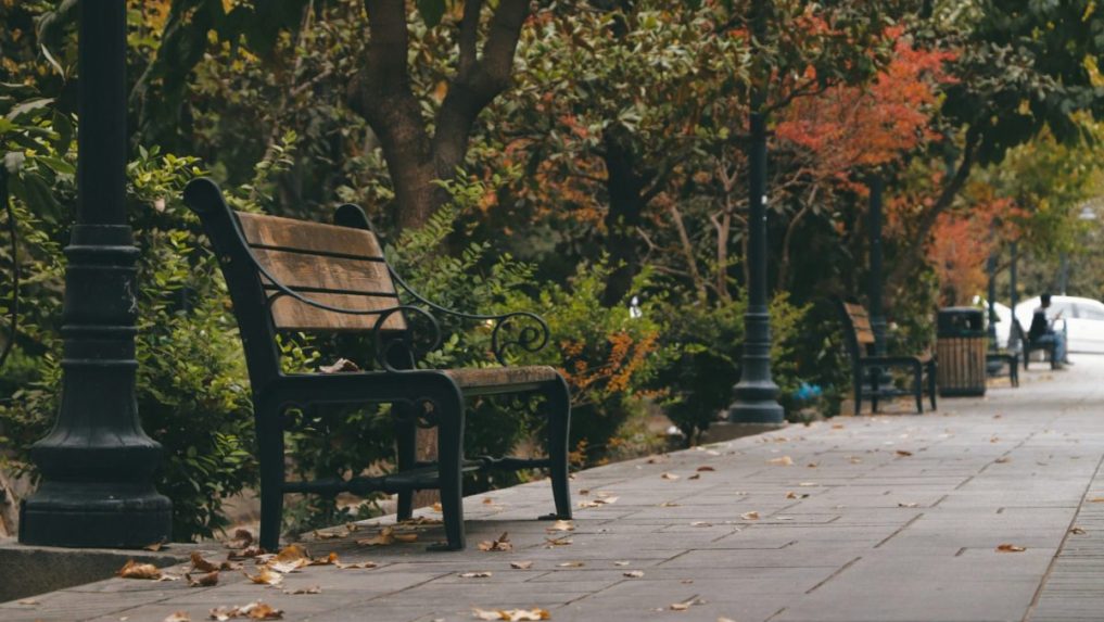 Na snímke lavička v parku.