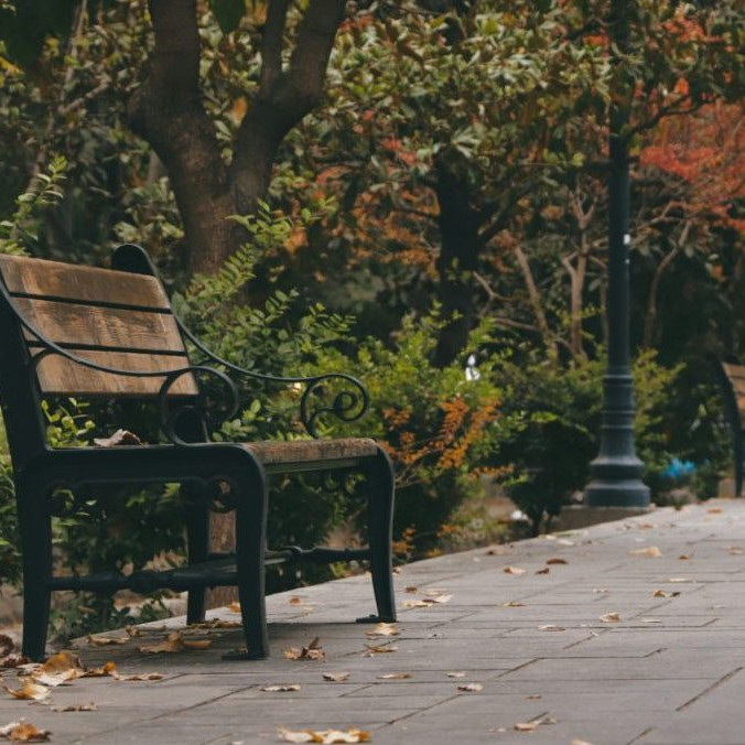 Na snímke lavička v parku.