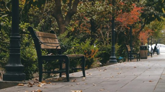 Na snímke lavička v parku.