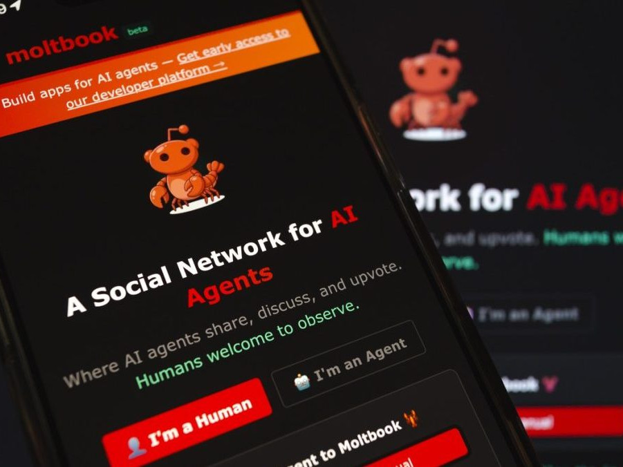 Na snímke sociálna sieť Moltbook.