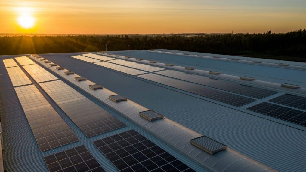 Na snímke je fotovoltaika, v pozadí slnko.