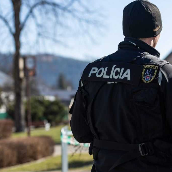 Na ilustračnej snímke policajt.