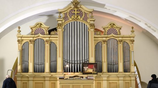 organ v Šali