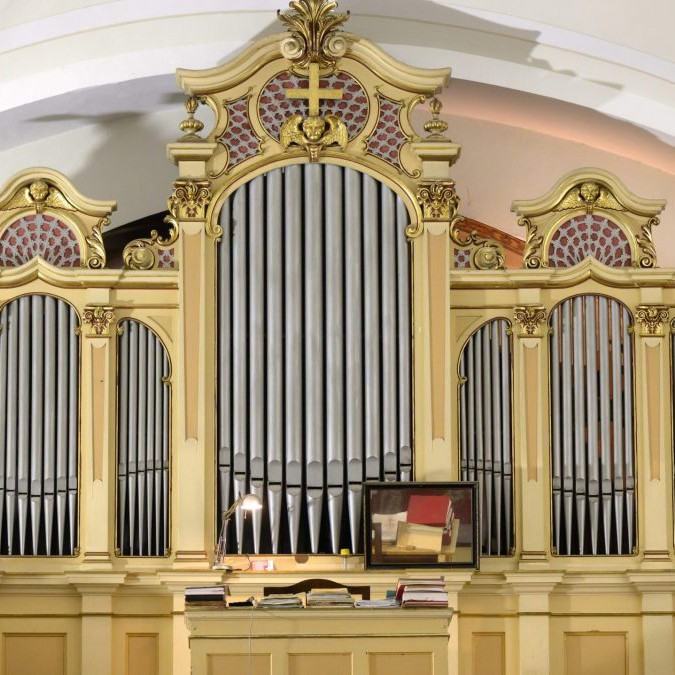 organ v Šali