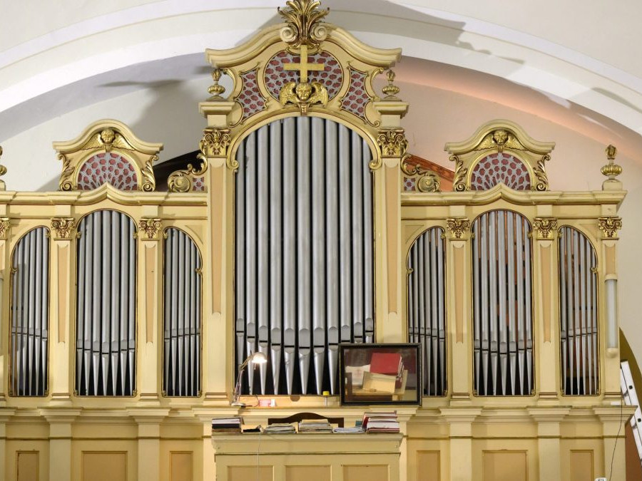 organ v Šali