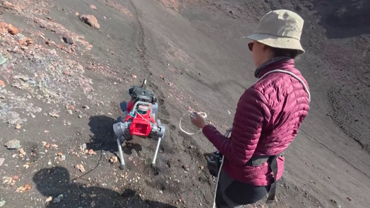 Na snímke je robot, ktorého sprevádza na vôdzke osoba.