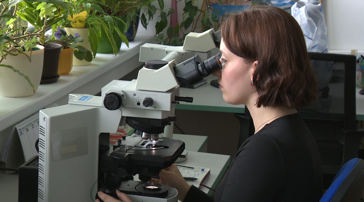 Zistenia SAV by mohli pom&ocirc;cť pri v&yacute;voji &uacute;činnej&scaron;ej liečby rakoviny prsn&iacute;ka. Vedci sk&uacute;mali odolnosť proti chemoterapii