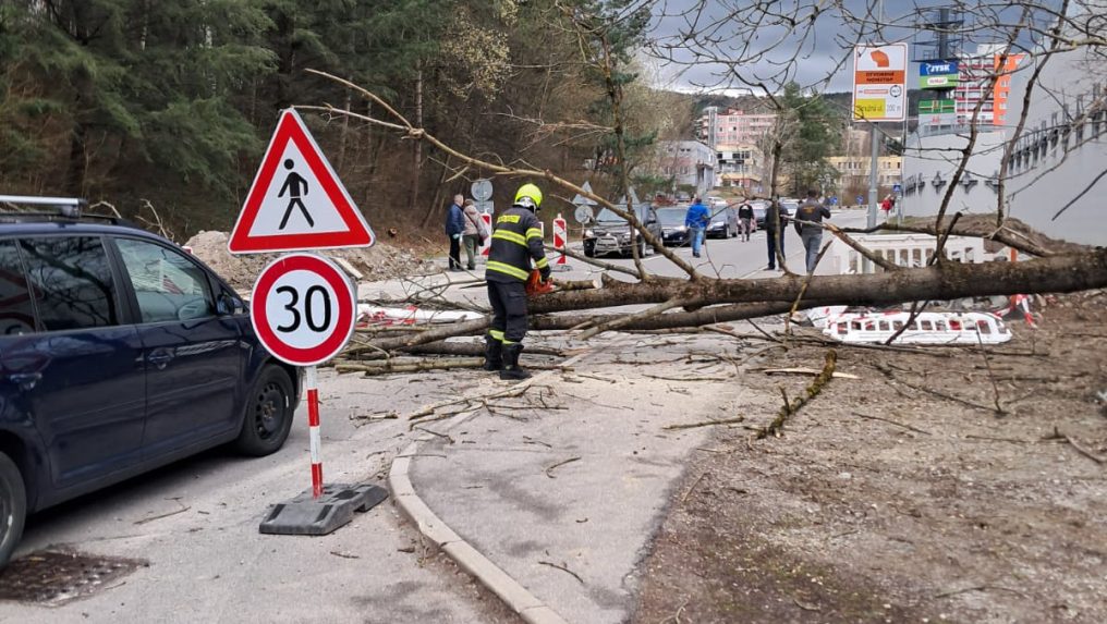 Na sn&iacute;mke padnut&yacute; strom.