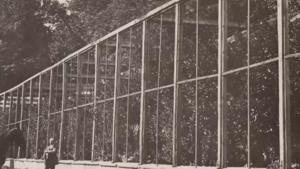 Arch&iacute;vna fotka oranž&eacute;rie.