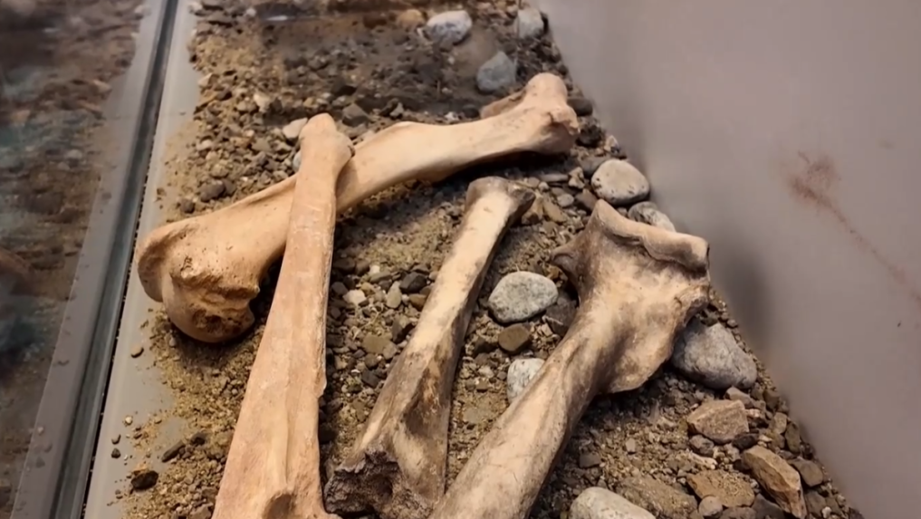 Strata ľadovej výzdoby v jaskyni odhalila iné poklady.