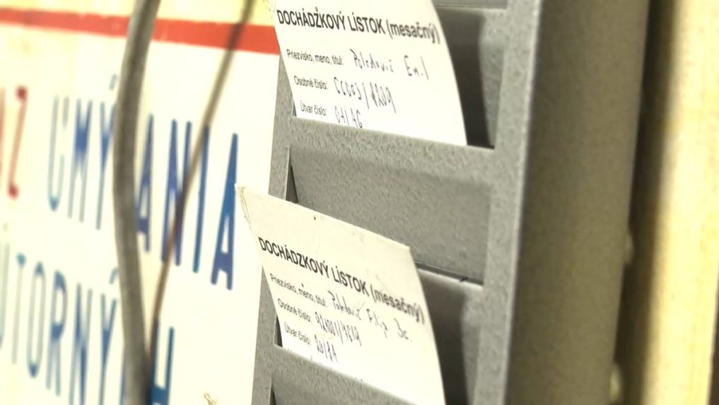 Na sn&iacute;mke doch&aacute;dzkov&yacute; l&iacute;stok.