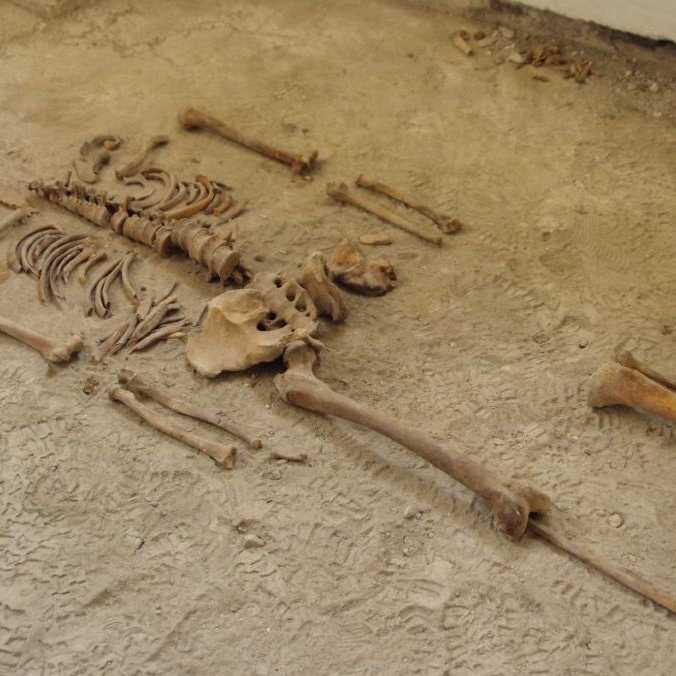 Nález kostrových pozostatkov.