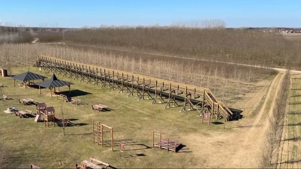 Na snímke chodník v korunách stromov bez stromov v Maďarsku.