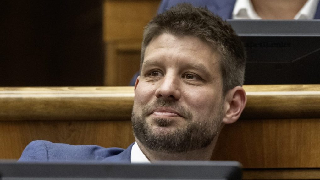 Poslanec NR SR Michal Šimečka.