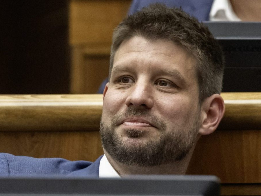 Poslanec NR SR Michal Šimečka.